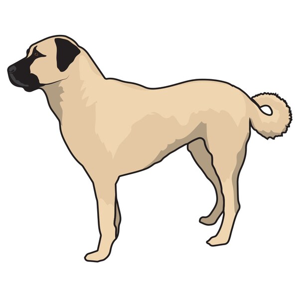 Signmission Anatolian Shepherd Dog Decal, Dog Lover Decor Vinyl Sticker D-12-Anatolian Shepherd - main